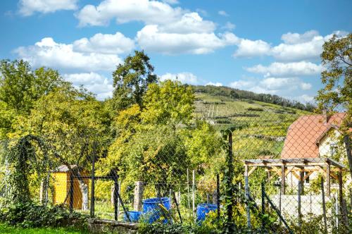 Studio lumineux en rez-de-jardin situé sur la route des vins d'Alsace Ammerschwihr france