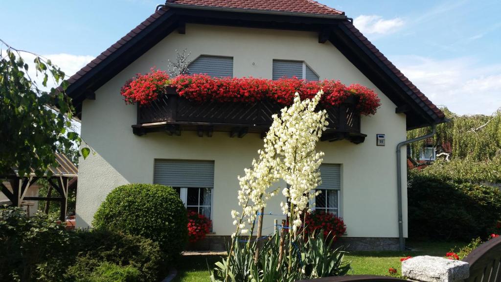 Appartement Studio Orchidee Windmühlenweg 11 1. Etage, 01920 Weißig