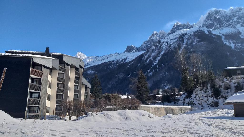 Appartement studio plein sud vue Mont Blanc CHAMONIX 1659 Promenade Marie Paradis, 74400 Chamonix-Mont-Blanc
