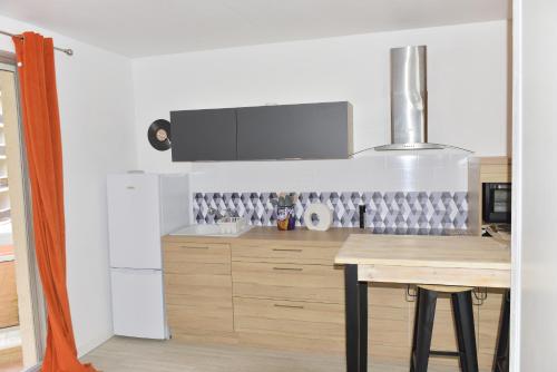 Appartement Studio POP Canet En Roussillon 8 Promenade de la Côte Radieuse, les Balcons de la plage n°16 Canet-en-Roussillon