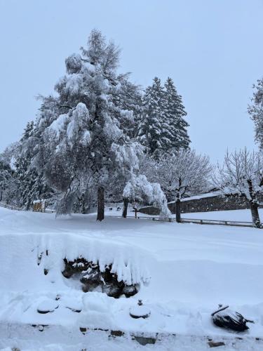 studio rue de jardin Saint-Gervais-les-Bains france