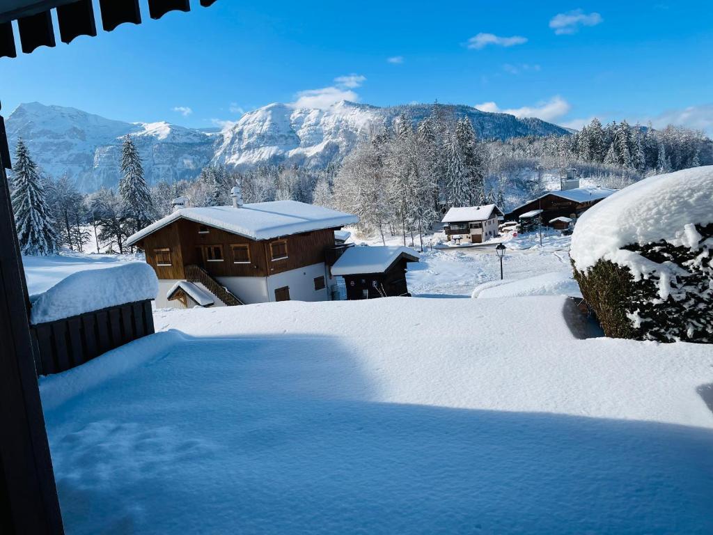 Appartement Studio vu montagne Carroz 110 Route des Grandes Alpes, 74300 Les Carroz d\'Arâches