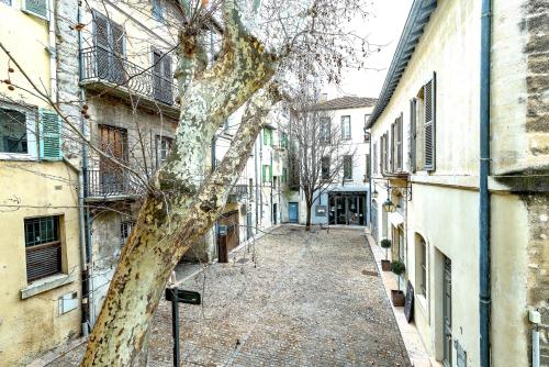 Appartements Studios entre le Pont d' Avignon et le Palais des Papes 6 Rue Plaisance Avignon