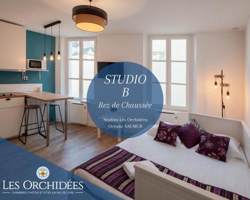 Appartements Studios Les Orchidées Océane Saumur 10 Rue de la petit douve Saumur