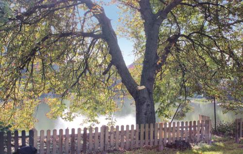 Maison de vacances Stunning home in Gnoien OT Dlitz with 2 Bedrooms and WiFi  Gnoien