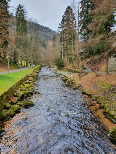 Stürmlesloch Bad Wildbad allemagne