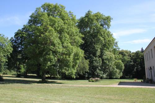 Suite familiale 2 chambres - Domaine du Deaulx Mogneneins france