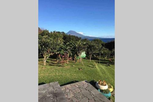 Summer house with BBQ and Garden Horta portugal