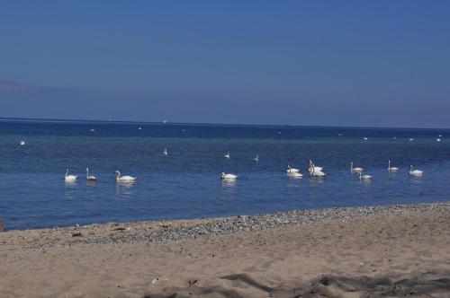 Sunny Timmendorfer Strand allemagne