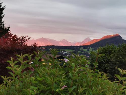 Sunrise Belvedere Pfronten Pfronten allemagne