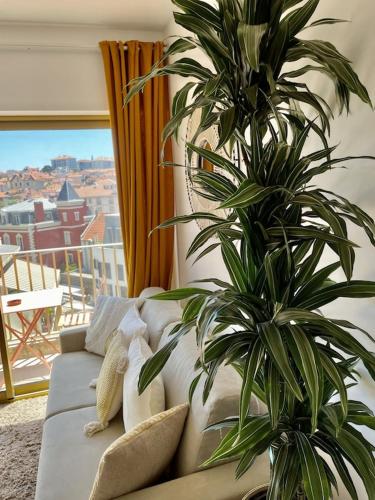 Appartement Superb top floor studio, Biarritz center. 54 Avenue Edouard VII Biarritz