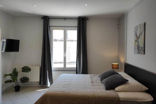 Appartement Superbe Appart Avignon-4pers-Wifi-Hyper Centre 141 Rue Carreterie Avignon