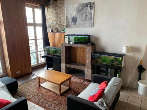 Superbe appartement hyper centre Nantes france