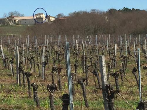 Superbe gîte à la campagne dans le bordelais Saint-Vivien-de-Blaye france