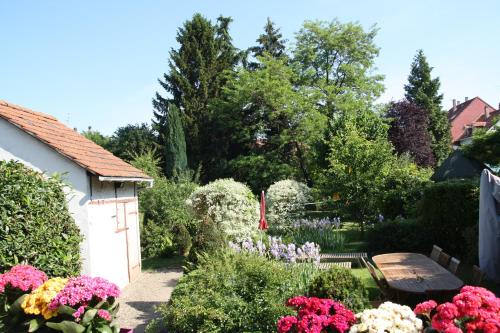 Maison de vacances Superbe maison avec jardin magnifique! 4 Rue du Donon Schiltigheim