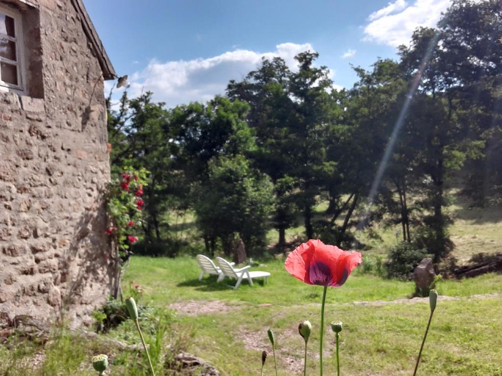 Maison de vacances Superbe Moulin au bord d'une riviere, au calme, avec piano Moulin des chaises, 03170 Doyet