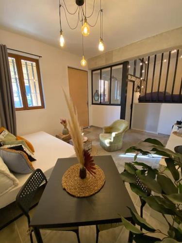 Superbe studio de charme Tourrette-Levens france