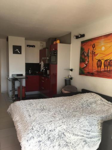 Appartement Superbe Studio parking piscine 9 Avenue Coquette Nice