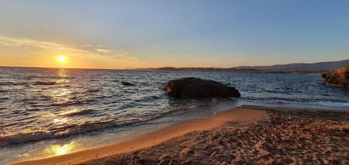 Superbe T2, 100 m à pied de la plage, Six Fours Cap Negre Six-Fours-les-Plages france