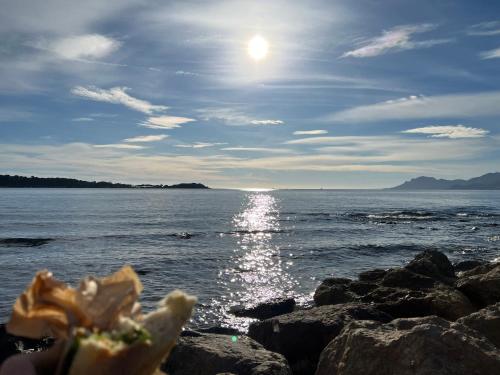 Superbes 3 pièces - Vue mer - 50m de la Croisette Cannes france