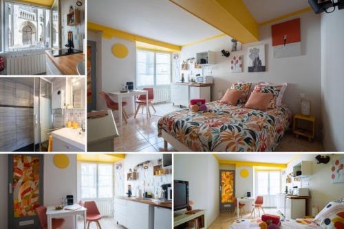 Appartement SUPERLOGIS BLOIS-HYPERCENTRE LE PITAYA-STUDIO☆☆☆ 32 Rue des Trois Marchands Blois