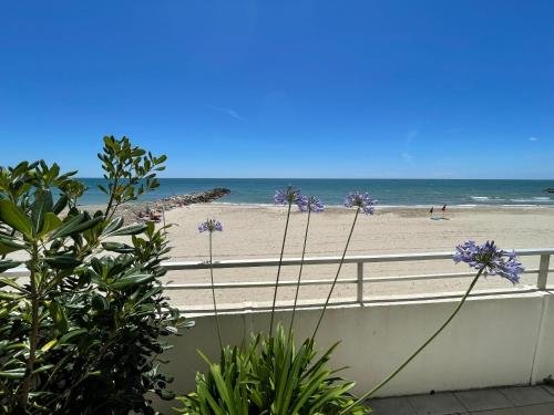 Sur la plage, front de mer Palavas-les-Flots france