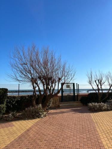 Appartement Sur le sable, face à la mer La Tourette Tour Bel Horizon - 14 avenue des Élysées Valras-Plage