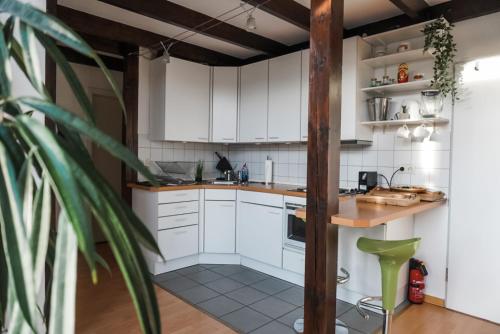 Appartement Surfer Loft with AC and sun terrace 418 Königswinterer Straße Bonn