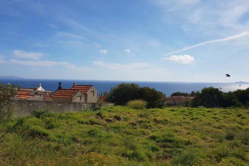 T2 Ajaccio Sanguinaires Vue Mer Plein Sud 300m plage Ajaccio france