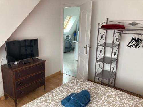 Appartement T2 cosy proche gare Fleury et Orléans 57 Rue Marcelin Berthelot Fleury-les-Aubrais