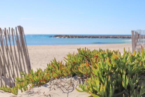 T2 Élégance Bord de Mer Palavas Palavas-les-Flots france