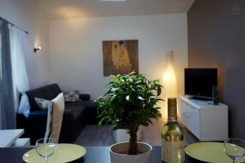 T2 Saint-Anne - Air Rental Montpellier france