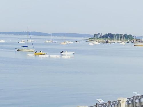 T2 Vue exceptionnelle sur le bassin d'Arcachon Andernos-les-Bains france