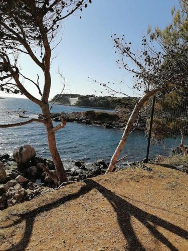 T3 85m²+2 terraces sea view all accessible by foot Bandol france