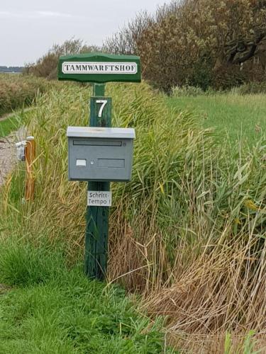 Tammwarftshof Pellworm allemagne