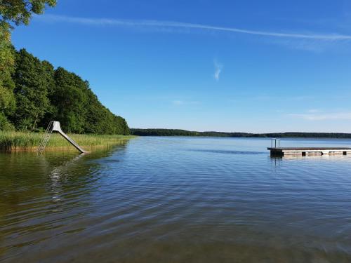 Tannenzapfen Kratzeburg allemagne