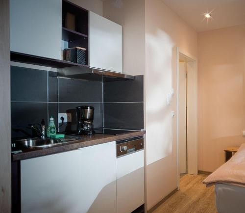 Appartement TENNENBODEN-Komfort-DZ-die-ehemalige-Tenne-in-der-Hofstallung Wagnergasse 11 Marktheidenfeld