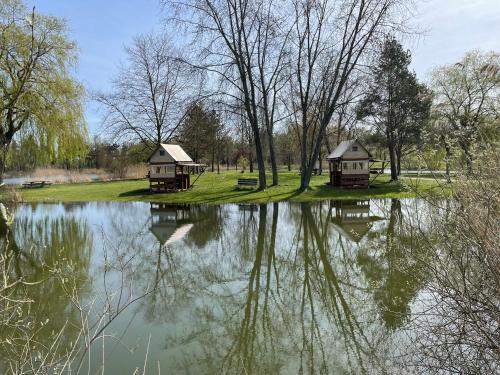 Camping tente bivouac Rue du Canal Harskirchen