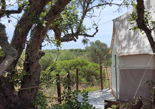 AlgarveGlamping