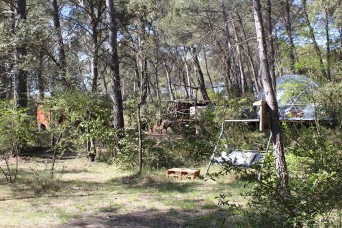 Tente de luxe Artibulle nuit insolite Route de Coudoux 13410 Lambesc Provence-Alpes-Côte d\'Azur