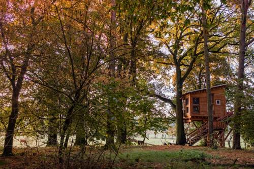 Baumhaushotel Uckermark - Waldgeflüster