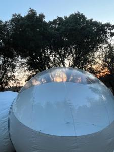 Bulle - hébergement insolite