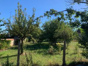 Tente de luxe cabane bambou 20 de la Patarianne 03380 Huriel Auvergne