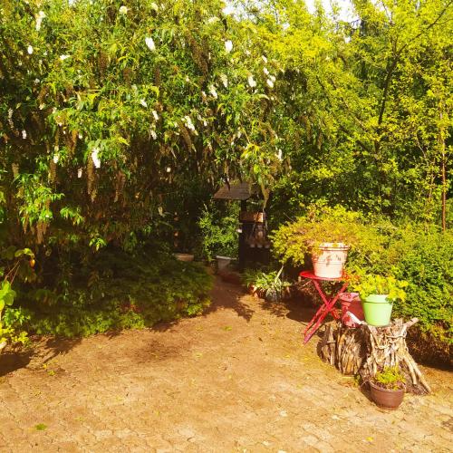 CABANE CERISE DANS L'ARBRE Etapeboisee