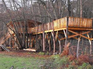 Tente de luxe Cabane des cerfs route de Losse Ferme de l'Argenté 47420 Allons Aquitaine