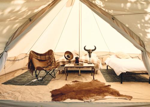Camping d'artagnan