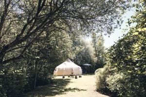 Camping d'artagnan