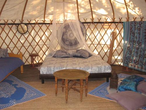 Camping Mille Étoiles