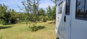 Charmant camping-car à la campagne