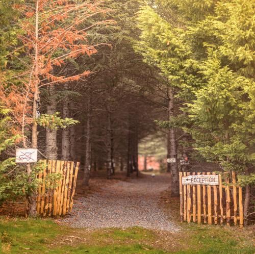 Domaine de la Vitarelle Glamping